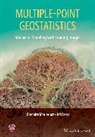 G Caers, Jef Caers, Jef (Stanford University) Caers, Jef Mariethoz Caers, Caers Jef, Gregoire Mariethoz... - Multiple-Point Geostatistics
