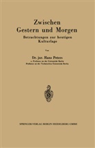 Hans Peters - Zwischen Gestern und Morgen