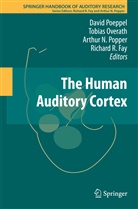 Richard R Fay, Richard R. Fay, Arthur N Popper et al, Tobia Overath, Tobias Overath, David Poeppel... - The Human Auditory Cortex