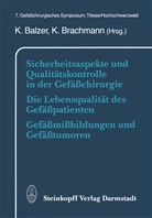 Balzer, K Balzer, K. Balzer, Brachmann, Brachmann, K. Brachmann - Sicherheitsaspekte und Qualitätskontrolle in der Gefäßchirurgie Die Lebensqualität des Gefäßpatienten Gefäßmißbildungen und Gefäßtumoren
