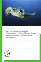 Hyacinthe Angoni, Angoni-h - Les tortues marines du cameroun