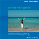 Agnes Kaiser Rekkas - Ich lebe mich gesund!, 2 Audio-CDs (Audio book)