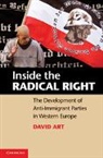 David Art, David (Tufts University Art, Art David - Inside the Radical Right