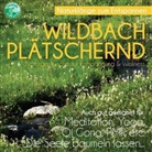 Wildbach Plätschernd, 1 Audio-CD (Hörbuch)