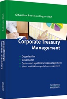 Sebastia Bodemer, Sebastian Bodemer, Roger Disch - Corporate Treasury Management
