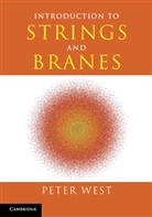 Peter West, Peter (King's College London) West, Peter (King''s College London) West - Introduction to Strings and Branes