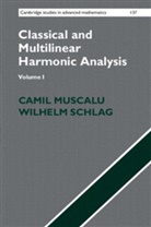 Camil Muscalu, Camil (Cornell University Muscalu, Camil Schlag Muscalu, Muscalu Camil, Wilhelm Schlag, Schlag Wilhelm - Classical and Multilinear Harmonic Analysis 2 Volu - Volume 1: Classical and Multilinear Harmonic Analysis