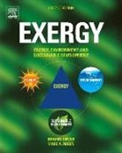 Marc A Rosen, Ibrahim Dincer, Ibrahim Rosen Dincer, Ibrahim Diner, Marc A. Rosen - Exergy