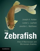 Joseph Holden, Joseph A. Holden, Joseph A. (University of Utah) Holden, Joseph A. (University of Utah) Layfield Holden, Joseph A. Layfield Holden, Lester Layfield... - Zebrafish