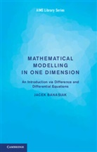Jacek Banasiak, Jacek (University of Kwazulu-Natal Banasiak, Banasiak Jacek - Mathematical Modelling in One Dimension