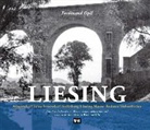 Ferdinand Opll - Liesing