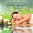 Electric Air Project, Thomas Vietze - Entspannungsmusik für Körper und Geist 8. Tl.8, 1 Audio-CD (Audio book)