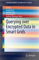 Jingsheng Lei, Xiaohui Liang, Xiaohui et al Liang, Rongxin Lu, Rongxing Lu, Xuemin Shen... - Querying over Encrypted Data in Smart Grids