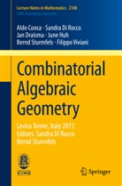 Ald Conca, Aldo Conca, Sandr Di Rocco, Sandra Di Rocco, Jan Draisma, Jan et al Draisma... - Combinatorial Algebraic Geometry