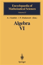 I Kostrikin, A I Kostrikin, A. I. Kostrikin, R Shafarevich, R Shafarevich, I. R. Shafarevich - Algebra VI