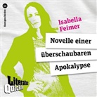 Isabella Feimer, Sandra Heinrichs - Novelle einer überschaubaren Apokalypse