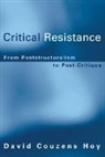 David Couzens Hoy - Critical Resistance