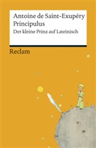 Antoine de Saint-Exupéry - Principulus. Der kleine Prinz auf Lateinisch