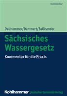 Götz Brückner, Wolf-Diete Dallhammer, Wolf-Dieter Dallhammer, Bern Dammert, Bernd Dammert, Fassbender... - Sächsisches Wassergesetz (SächsWG)