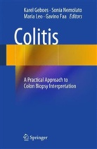 Gavino Faa, Karel Geboes, Maria Leo, Sonia Nemolato - Colitis