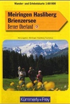 Meiringen hasliberg brienz 1:60000