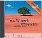 Stefanie Hoppe, Kai Rinsland, Ulrich Eggers - Tiefe Wurzeln, gute Früchte, 2 Audio-CDs (Hörbuch)