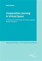 Marja Zibelius - Cooperative Learning in Virtual Space
