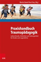 Martin Baierl, Kurt Frey, Marti Baierl, Martin Baierl, Frey, Frey... - Praxishandbuch Traumapädagogik