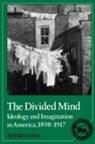 Peter Conn, Albert Gelpi, Ross Posnock - Divided Mind