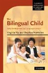 Stephen Matthews, Virginia Yip, Virginia (Professor Yip, Virginia Matthews Yip - Bilingual Child