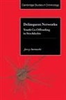 Sarnecki Jerzy, Jerzy Sarnecki, Jerzy (Stockholms Universitet) Sarnecki, Alfred Blumstein - Delinquent Networks