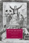 John Glavin, Professor John Glavin, Glavin John, Gillian Beer - After Dickens