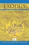 Carol Meyers, Carol (Duke University Meyers, Carol L. Meyers, Bill T. Arnold, Ben Witherington, Ben Iii Witherington - Exodus