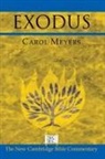 Carol Meyers, Carol L. Meyers, Bill T. Arnold, Ben Witherington, Ben Iii Witherington - Exodus