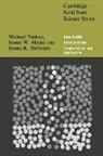 James K. Hirvonen, James Mayer, Michael Nastasi, Michael Mayer Nastasi - Ion-Solid Interactions