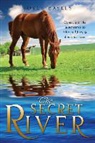 Joyce Bayles - The Secret River