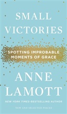 Anne Lamott - Small Victories