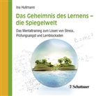 Ina Hullmann - Das Geheimnis des Lernens - die Spiegelwelt, Audio-CD (Hörbuch)