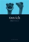 Edgar Williams - Ostrich