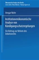 Ansgar Nolte - Institutionenökonomische Analyse von Kündigungsschutzregelungen