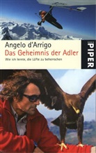 Angelo D'Arrigo - Das Geheimnis der Adler