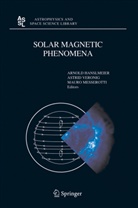 A. Hanslmeier, Arnold Hanslmeier, M Messerotti, M. Messerotti, Mauro Messerotti, Veronig... - Solar Magnetic Phenomena