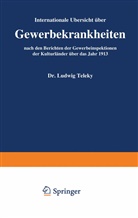 Ernst Brezina - Internationale Übersicht über Gewerbekrankheiten nach den Berichten der Gewerbeinspektionen der Kulturländer über das Jahr 1913