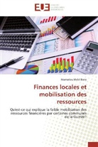 Mamadou Malal Barry, Malal-m - FINANCES LOCALES ET MOBILISATION DES RESSOURCES