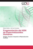 José Luis Fernández, Rebec Santiso, Rebeca Santiso - Fragmentación del ADN de Espermatozoides Humanos