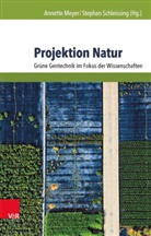 Annett Meyer, Annette Meyer, Schleissing, Schleissing, Stephan Schleissing - Projektion Natur