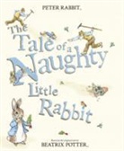 Beatrix Potter - Tale of a Naughty Little Rabbit