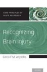 Eelco F M Wijdicks, Eelco F. M. Wijdicks, Eelco F.M. Wijdicks, Eelco F.m. (Md Wijdicks - Recognizing Brain Injury