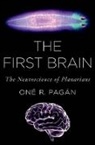 One R. Pagan, One R. (Professor of Biology Pagan, Oné R. Pagán, Pagan One R. - First Brain