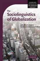 Jan Blommaert, Blommaert Jan - The Sociolinguistics of Globalization